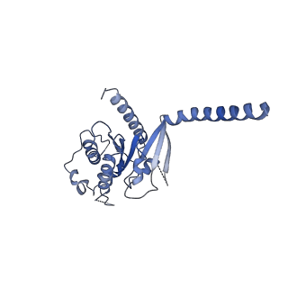 29993_8gg3_A_v1-1
CryoEM structure of beta-2-adrenergic receptor in complex with GTP-bound Gs heterotrimer (transition intermediate #9 of 20)