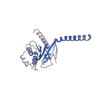 29994_8gg4_A_v1-1
CryoEM structure of beta-2-adrenergic receptor in complex with GTP-bound Gs heterotrimer (transition intermediate #10 of 20)