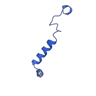 29994_8gg4_G_v1-1
CryoEM structure of beta-2-adrenergic receptor in complex with GTP-bound Gs heterotrimer (transition intermediate #10 of 20)