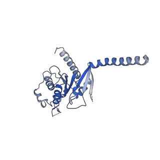 29995_8gg5_A_v1-1
CryoEM structure of beta-2-adrenergic receptor in complex with GTP-bound Gs heterotrimer (transition intermediate #11 of 20)