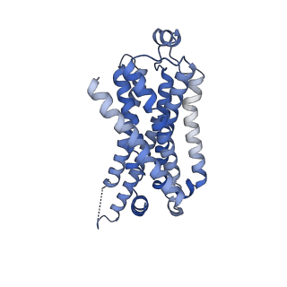 29995_8gg5_R_v1-1
CryoEM structure of beta-2-adrenergic receptor in complex with GTP-bound Gs heterotrimer (transition intermediate #11 of 20)