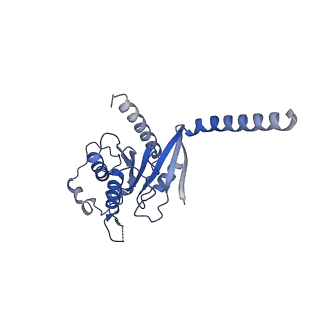 29996_8gg6_A_v1-1
CryoEM structure of beta-2-adrenergic receptor in complex with GTP-bound Gs heterotrimer (transition intermediate #12 of 20)