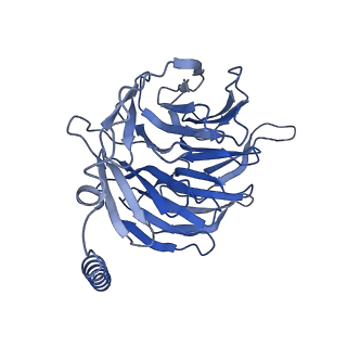 29996_8gg6_B_v1-1
CryoEM structure of beta-2-adrenergic receptor in complex with GTP-bound Gs heterotrimer (transition intermediate #12 of 20)