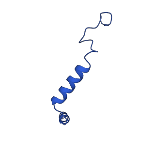 29996_8gg6_G_v1-1
CryoEM structure of beta-2-adrenergic receptor in complex with GTP-bound Gs heterotrimer (transition intermediate #12 of 20)