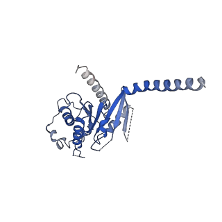 29997_8gg7_A_v1-2
CryoEM structure of beta-2-adrenergic receptor in complex with GTP-bound Gs heterotrimer (transition intermediate #13 of 20)