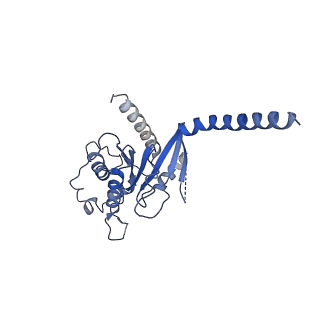 29998_8gg8_A_v1-2
CryoEM structure of beta-2-adrenergic receptor in complex with GTP-bound Gs heterotrimer (transition intermediate #14 of 20)