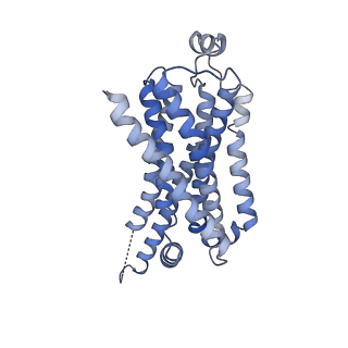 29998_8gg8_R_v1-2
CryoEM structure of beta-2-adrenergic receptor in complex with GTP-bound Gs heterotrimer (transition intermediate #14 of 20)