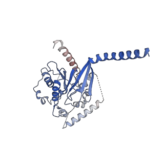 29999_8gg9_A_v1-2
CryoEM structure of beta-2-adrenergic receptor in complex with GTP-bound Gs heterotrimer (transition intermediate #15 of 20)