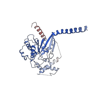 40000_8gga_A_v1-2
CryoEM structure of beta-2-adrenergic receptor in complex with GTP-bound Gs heterotrimer (transition intermediate #16 of 20)