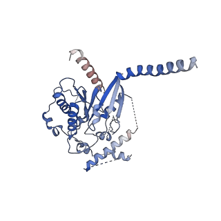 40001_8ggb_A_v1-2
CryoEM structure of beta-2-adrenergic receptor in complex with GTP-bound Gs heterotrimer (transition intermediate #17 of 20)