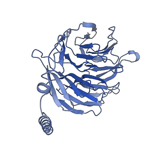 40001_8ggb_B_v1-2
CryoEM structure of beta-2-adrenergic receptor in complex with GTP-bound Gs heterotrimer (transition intermediate #17 of 20)