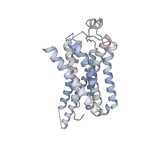 40001_8ggb_R_v1-2
CryoEM structure of beta-2-adrenergic receptor in complex with GTP-bound Gs heterotrimer (transition intermediate #17 of 20)