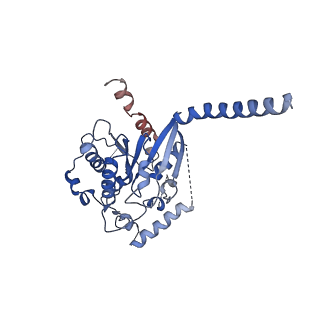40002_8ggc_A_v1-2
CryoEM structure of beta-2-adrenergic receptor in complex with GTP-bound Gs heterotrimer (transition intermediate #18 of 20)