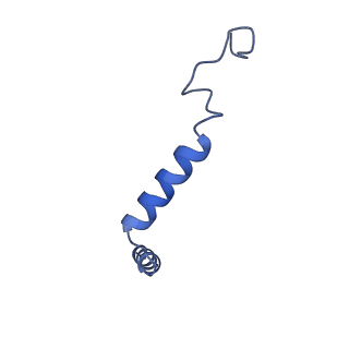 40002_8ggc_G_v1-2
CryoEM structure of beta-2-adrenergic receptor in complex with GTP-bound Gs heterotrimer (transition intermediate #18 of 20)