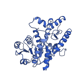 40003_8ggd_A_v1-0
Structure of Trypanosoma (MDH)4-Pex5, close conformation