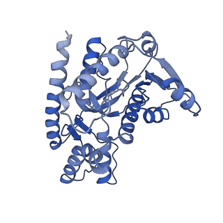 40003_8ggd_B_v1-0
Structure of Trypanosoma (MDH)4-Pex5, close conformation