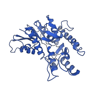 40003_8ggd_C_v1-0
Structure of Trypanosoma (MDH)4-Pex5, close conformation