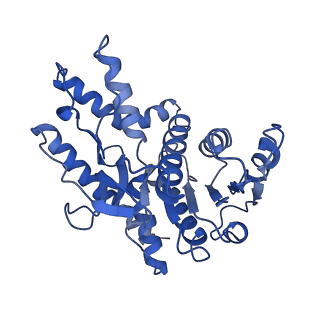 40003_8ggd_D_v1-0
Structure of Trypanosoma (MDH)4-Pex5, close conformation