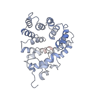 40003_8ggd_E_v1-0
Structure of Trypanosoma (MDH)4-Pex5, close conformation