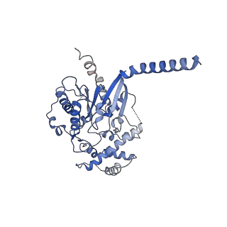 40004_8gge_A_v1-2
CryoEM structure of beta-2-adrenergic receptor in complex with GTP-bound Gs heterotrimer (transition intermediate #19 of 20)