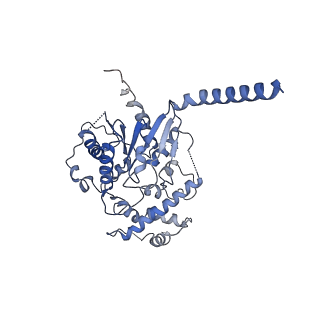 40005_8ggf_A_v1-2
CryoEM structure of beta-2-adrenergic receptor in complex with GTP-bound Gs heterotrimer (transition intermediate #20 of 20)