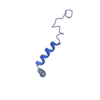 40005_8ggf_G_v1-2
CryoEM structure of beta-2-adrenergic receptor in complex with GTP-bound Gs heterotrimer (transition intermediate #20 of 20)