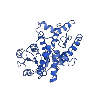 40008_8ggh_A_v1-0
Structure of Trypanosoma (MDH)4-PEX5, distal conformation