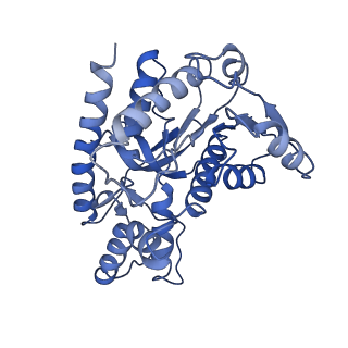 40008_8ggh_B_v1-0
Structure of Trypanosoma (MDH)4-PEX5, distal conformation