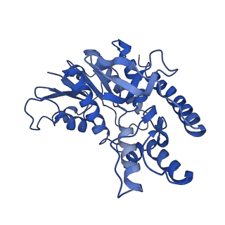 40008_8ggh_C_v1-0
Structure of Trypanosoma (MDH)4-PEX5, distal conformation