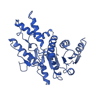 40008_8ggh_D_v1-0
Structure of Trypanosoma (MDH)4-PEX5, distal conformation