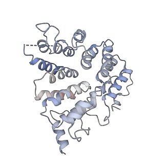 40008_8ggh_E_v1-0
Structure of Trypanosoma (MDH)4-PEX5, distal conformation