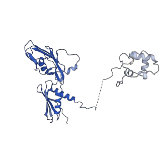 0001_6gh5_A_v1-2
Cryo-EM structure of bacterial RNA polymerase-sigma54 holoenzyme transcription open complex