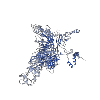 0001_6gh5_C_v1-2
Cryo-EM structure of bacterial RNA polymerase-sigma54 holoenzyme transcription open complex