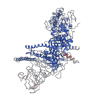0001_6gh5_D_v1-2
Cryo-EM structure of bacterial RNA polymerase-sigma54 holoenzyme transcription open complex