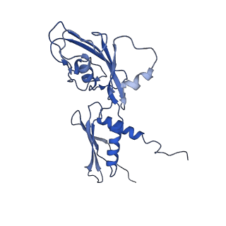 0002_6gh6_A_v1-1
Cryo-EM structure of bacterial RNA polymerase-sigma54 holoenzyme intermediate partially loaded complex