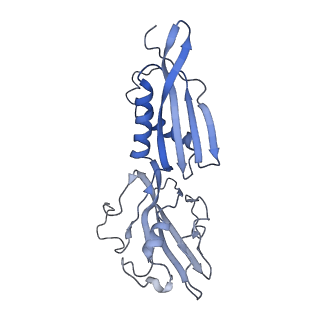 0002_6gh6_B_v1-1
Cryo-EM structure of bacterial RNA polymerase-sigma54 holoenzyme intermediate partially loaded complex