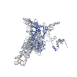 0002_6gh6_C_v1-1
Cryo-EM structure of bacterial RNA polymerase-sigma54 holoenzyme intermediate partially loaded complex