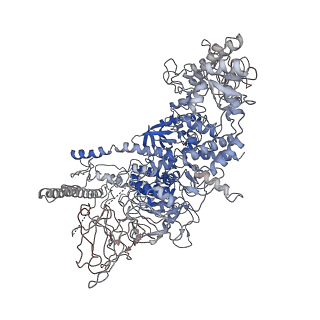 0002_6gh6_D_v1-1
Cryo-EM structure of bacterial RNA polymerase-sigma54 holoenzyme intermediate partially loaded complex