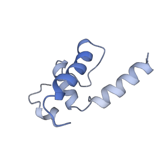 0002_6gh6_E_v1-1
Cryo-EM structure of bacterial RNA polymerase-sigma54 holoenzyme intermediate partially loaded complex