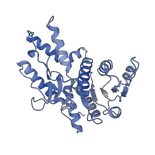 40031_8gh2_A_v1-0
Structure of Trypanosoma (MDH)4-(Pex5)2, close conformation