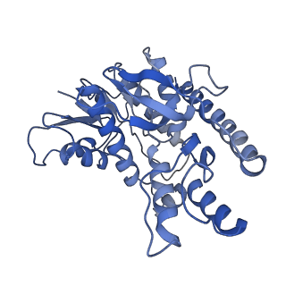 40031_8gh2_B_v1-0
Structure of Trypanosoma (MDH)4-(Pex5)2, close conformation