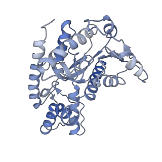 40031_8gh2_C_v1-0
Structure of Trypanosoma (MDH)4-(Pex5)2, close conformation