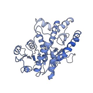 40031_8gh2_D_v1-0
Structure of Trypanosoma (MDH)4-(Pex5)2, close conformation