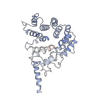 40031_8gh2_F_v1-0
Structure of Trypanosoma (MDH)4-(Pex5)2, close conformation