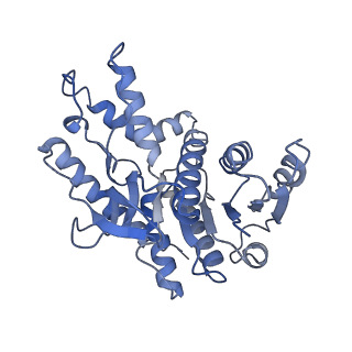 40032_8gh3_A_v1-0
Structure of Trypanosoma (MDH)4-(Pex5)2, distal conformation