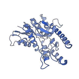 40032_8gh3_B_v1-0
Structure of Trypanosoma (MDH)4-(Pex5)2, distal conformation