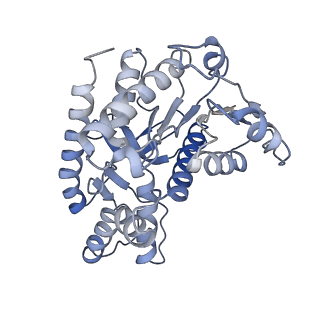 40032_8gh3_C_v1-0
Structure of Trypanosoma (MDH)4-(Pex5)2, distal conformation