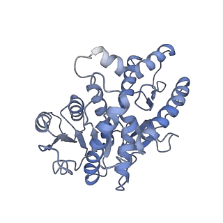 40032_8gh3_D_v1-0
Structure of Trypanosoma (MDH)4-(Pex5)2, distal conformation