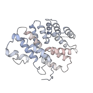 40032_8gh3_E_v1-0
Structure of Trypanosoma (MDH)4-(Pex5)2, distal conformation