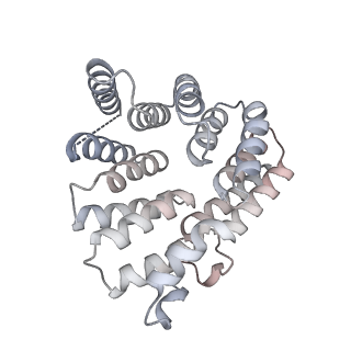 40032_8gh3_F_v1-0
Structure of Trypanosoma (MDH)4-(Pex5)2, distal conformation